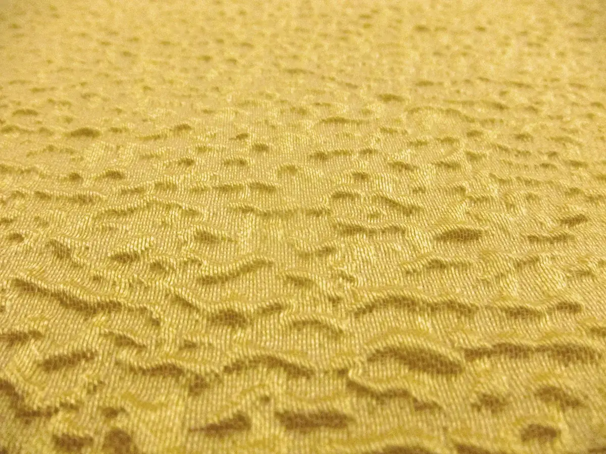 Silk Blend Organza Cloqué0