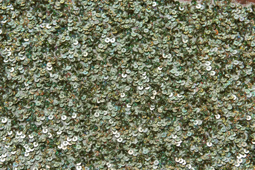 Sequins on Silk Chiffon0