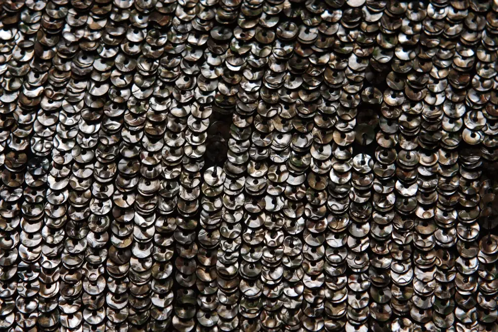 Sequins on Silk Chiffon2