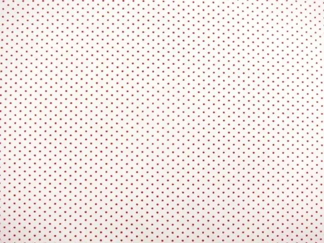 Japanese Cotton Broadcloth Print0