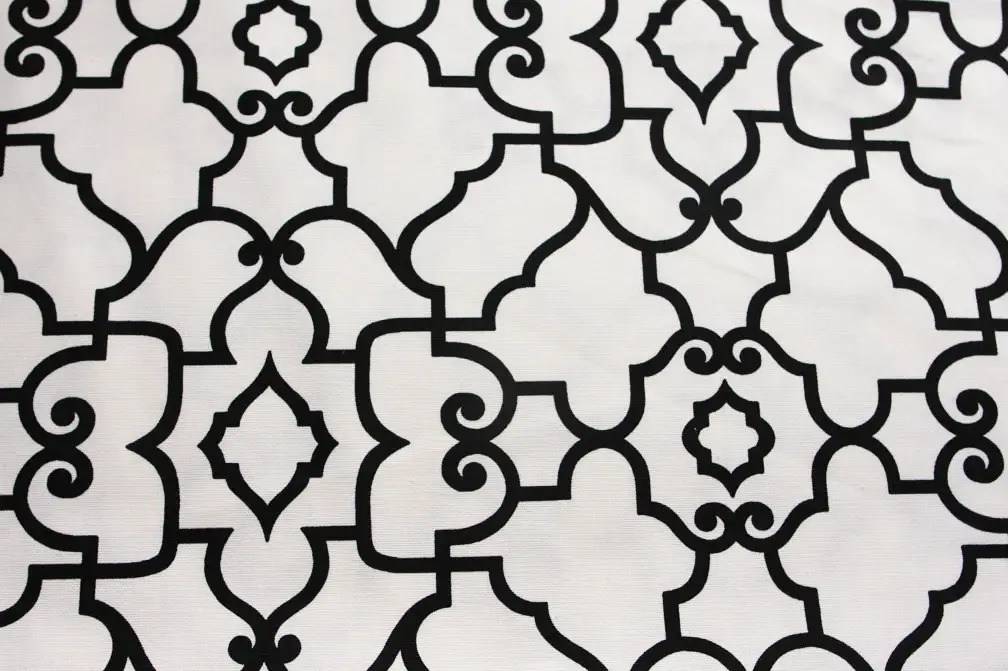 Printed Cotton Canvas0