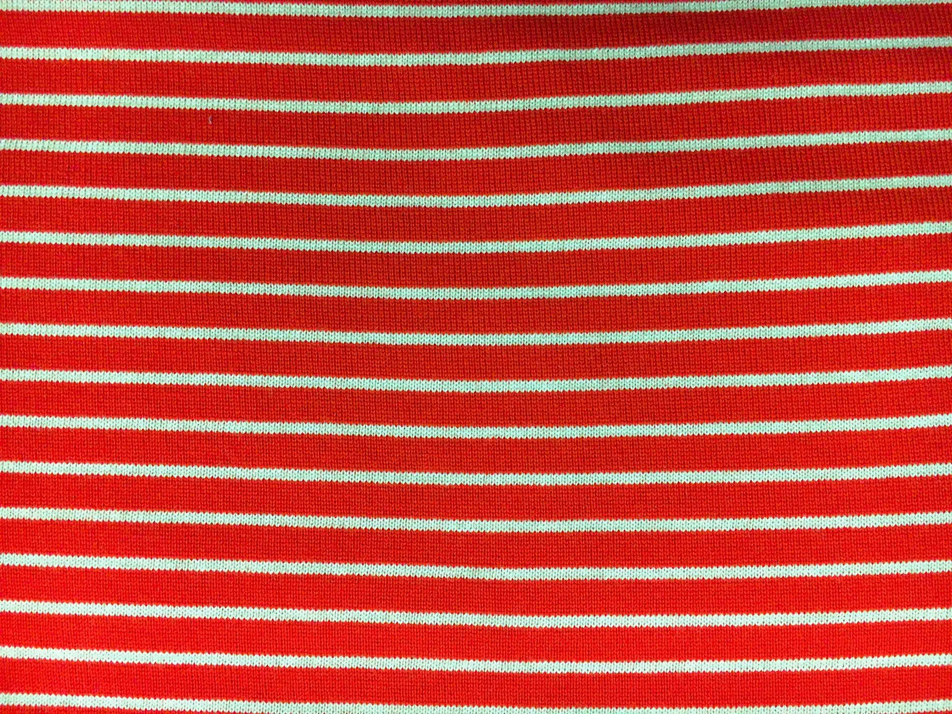Virgin Wool Knit Stripe2