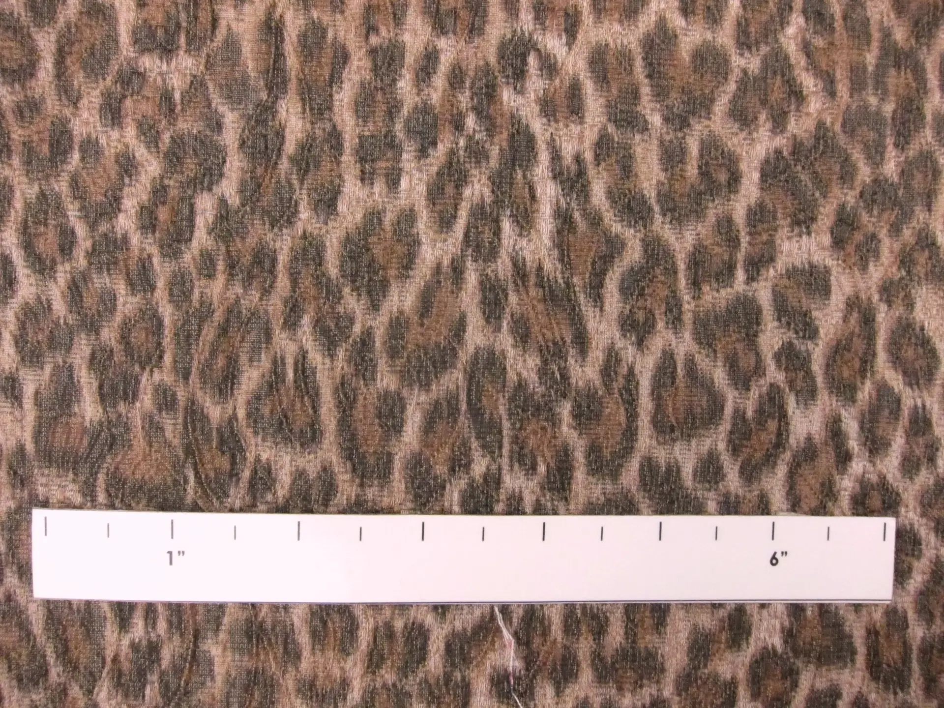  Brocade1