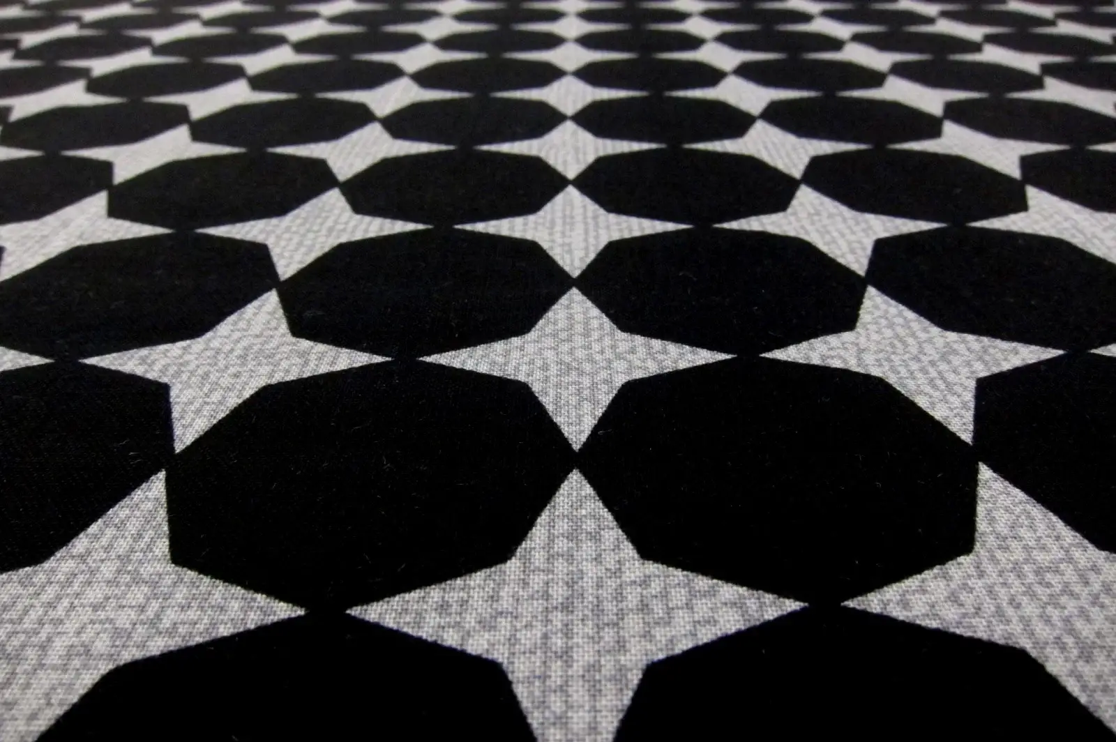 Cotton Broadcloth Print2