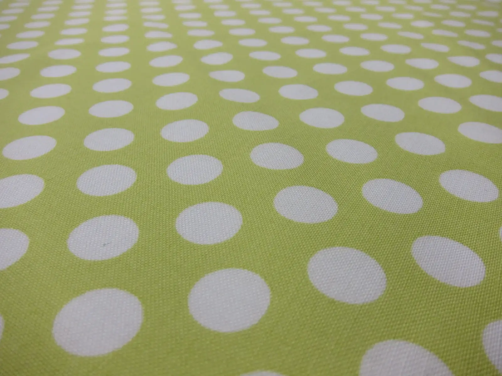 Cotton Broadcloth Print2