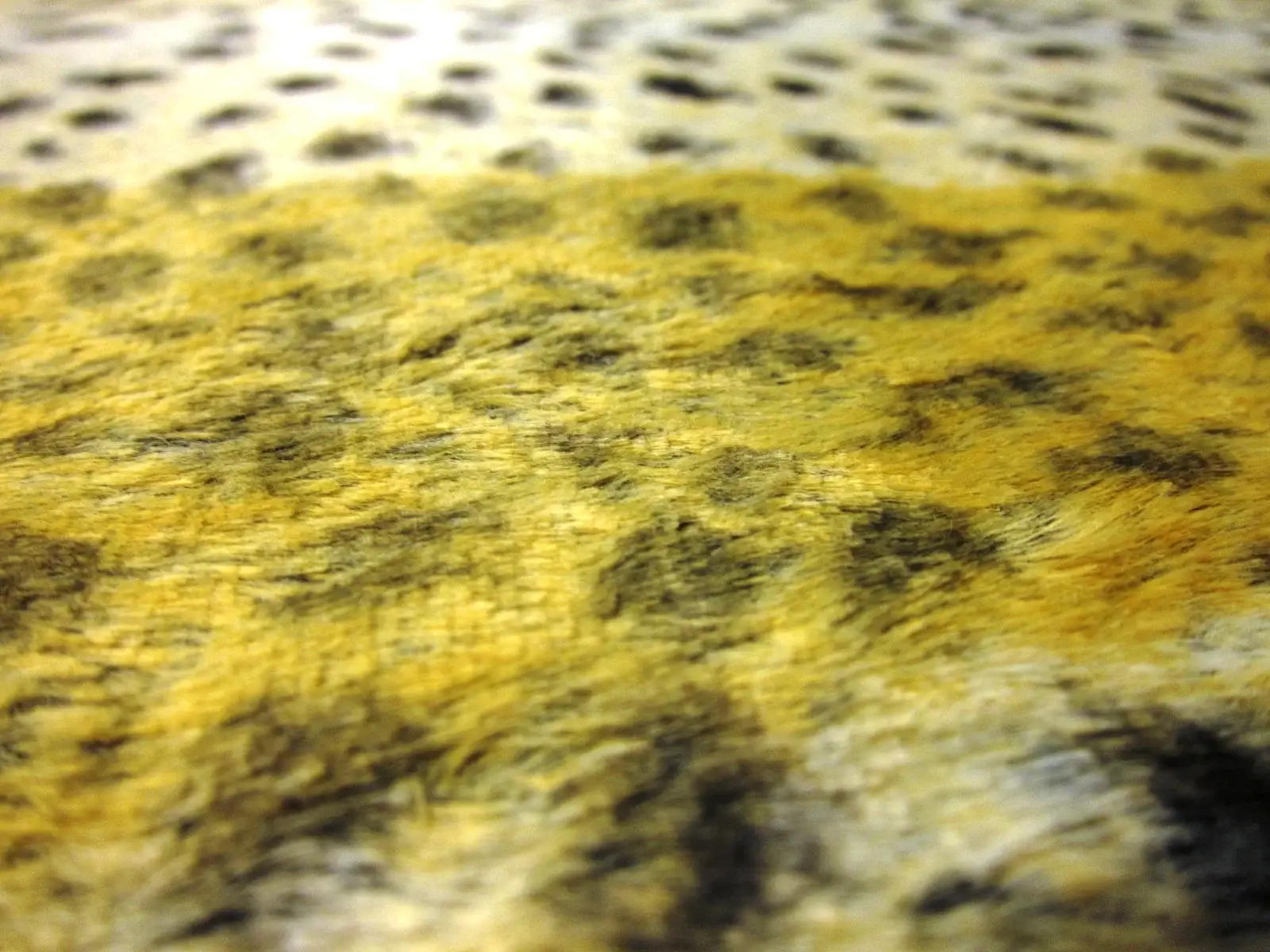 Faux Fur2