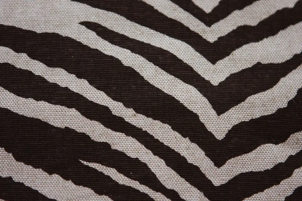 Printed Cotton Rayon Canvas2