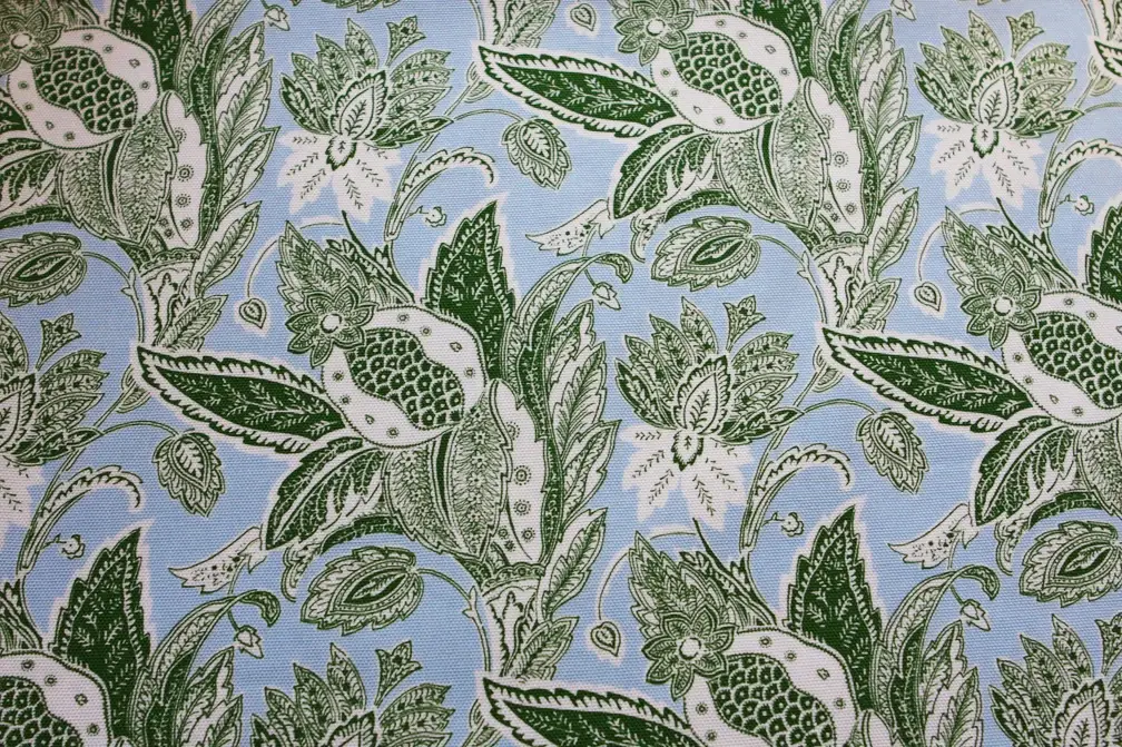 Printed Cotton Canvas0
