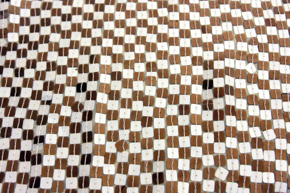 Sequins on SIlk Chiffon0