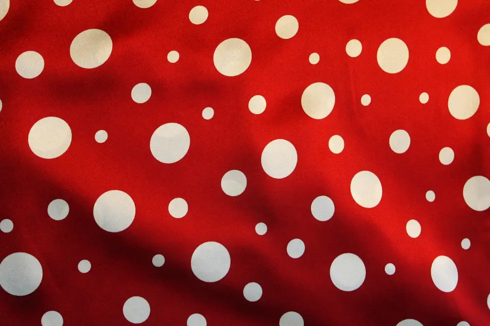 Printed Silk Charmeuse1
