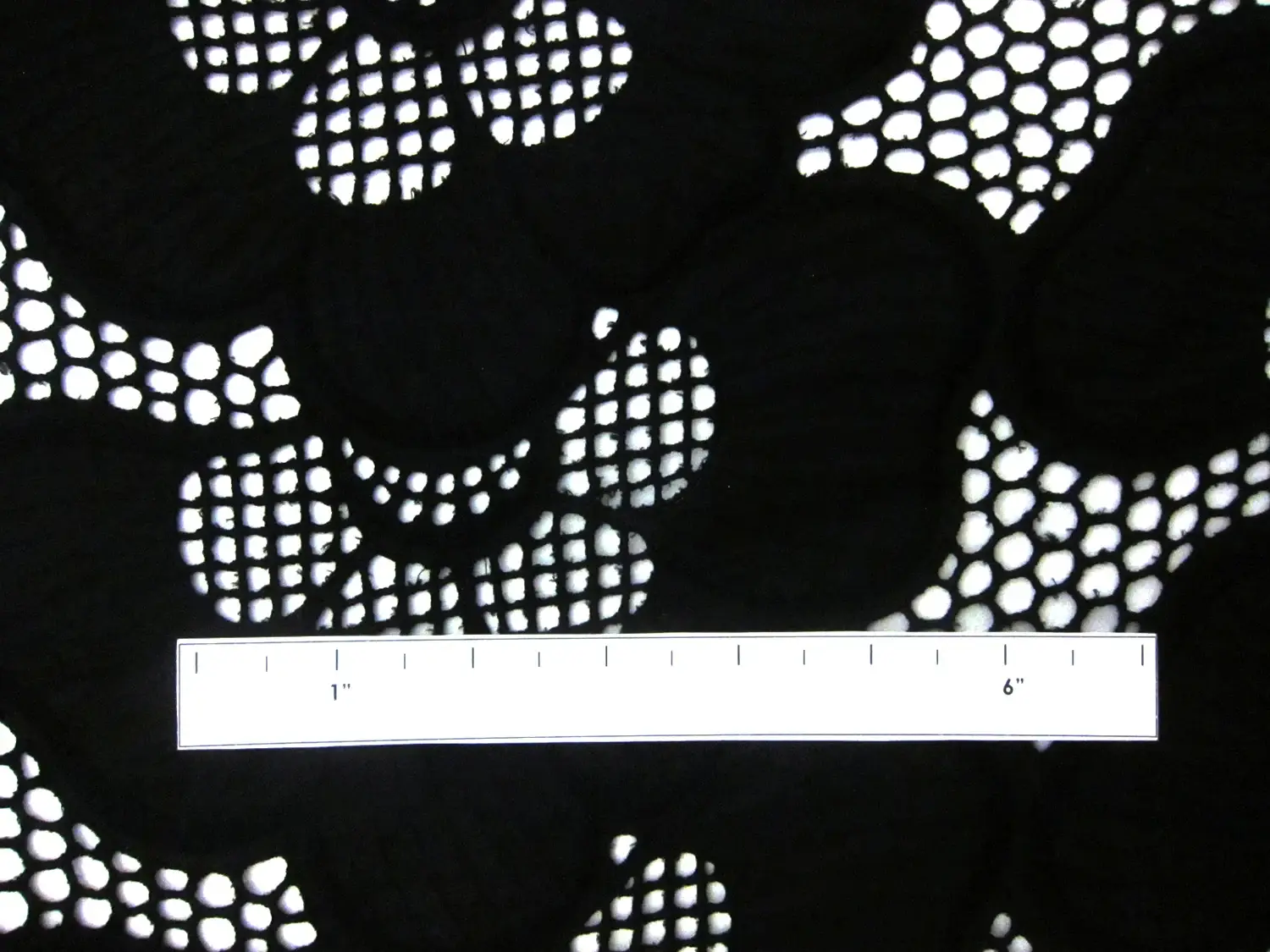 Cotton Eyelet in Black1