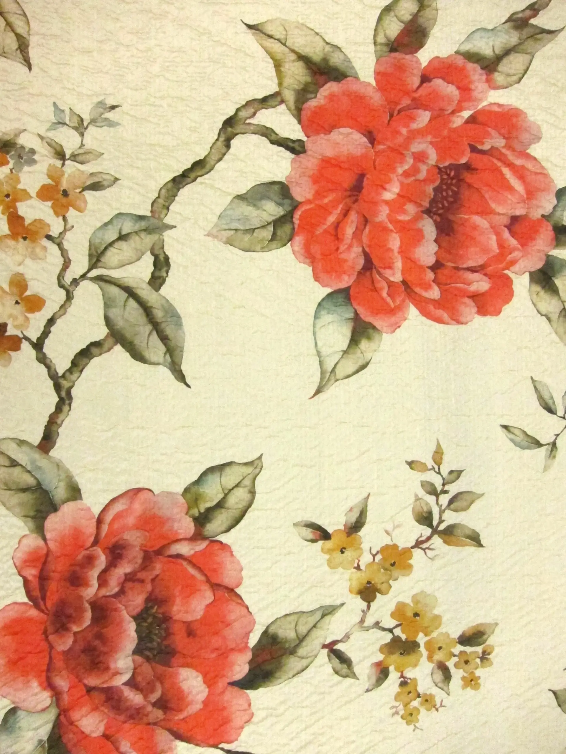 Printed Silk Cloqué0