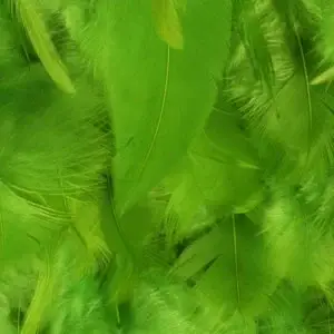 Feathers on Chiffon1