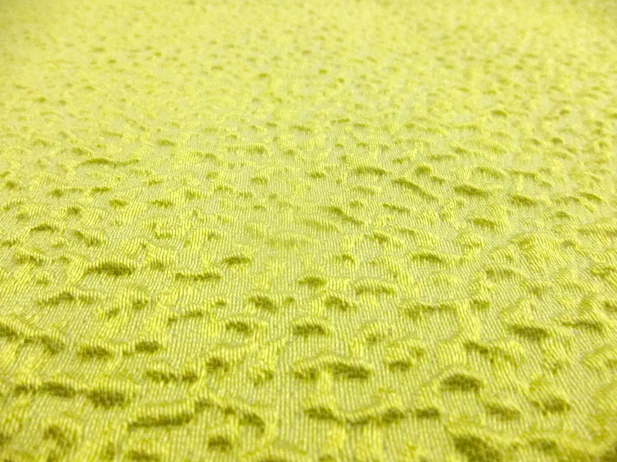 Silk Blend Organza Cloqué0