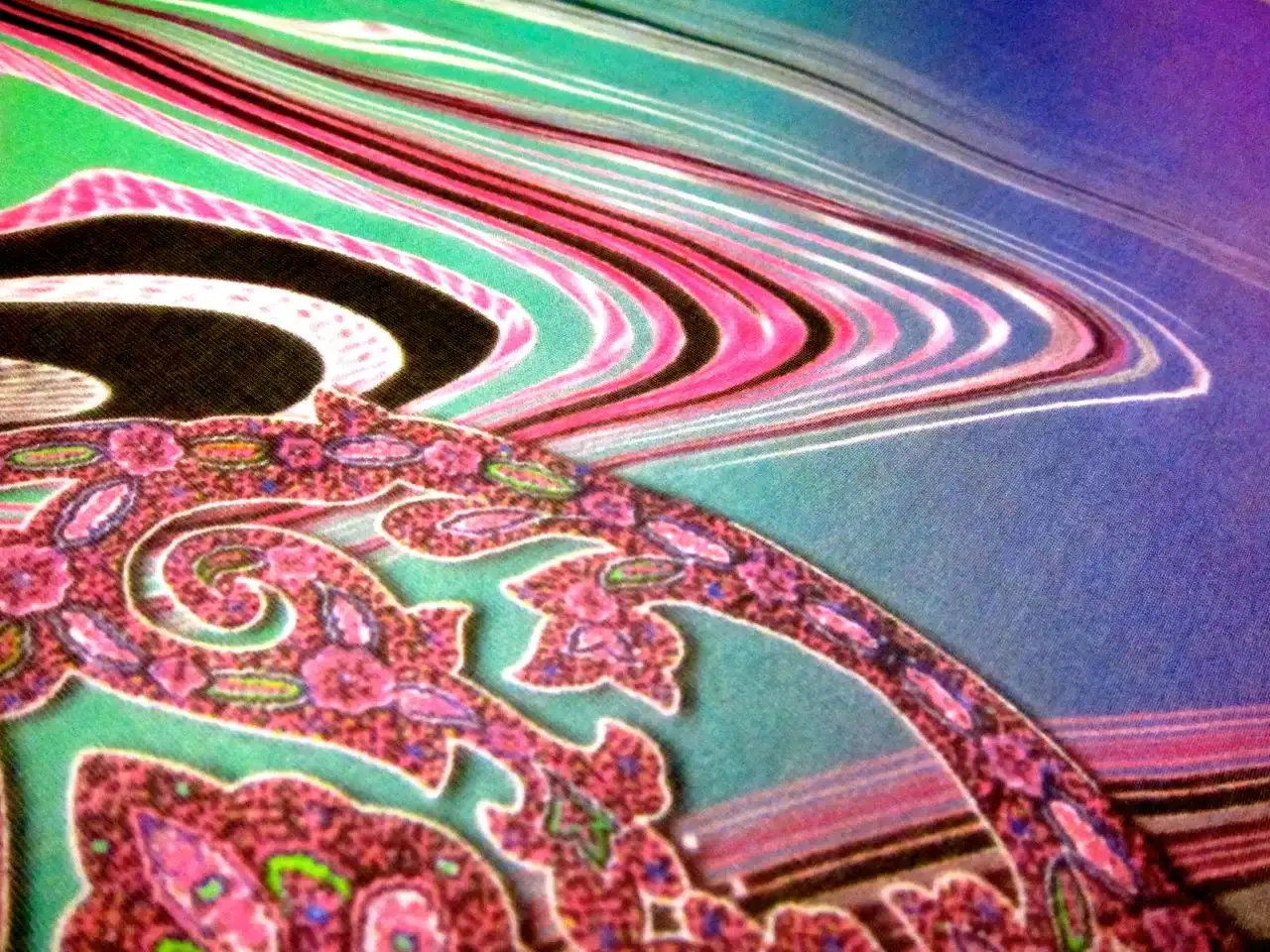 Printed Silk Chiffon Panel2