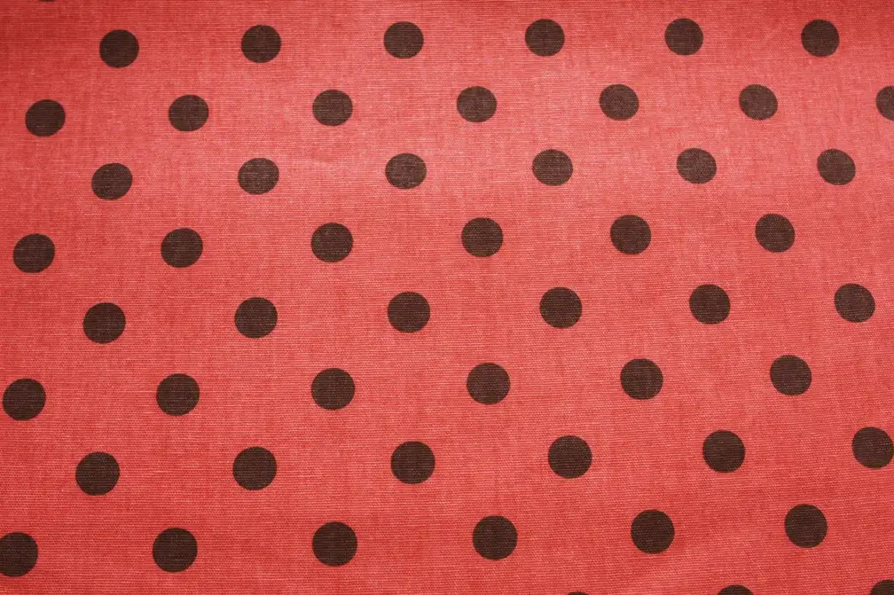Printed Cotton Canvas0