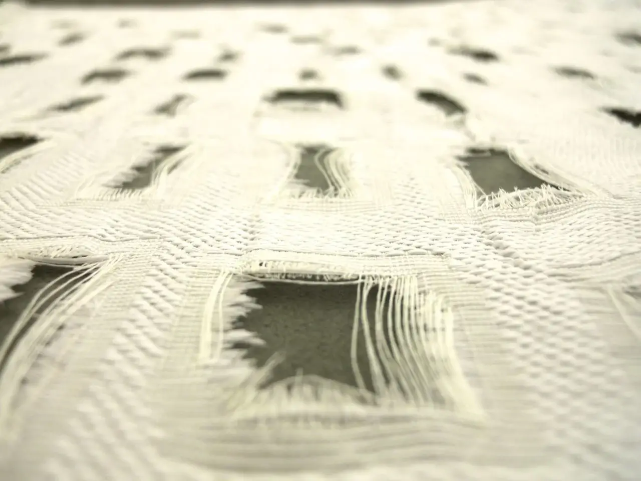 Cut Out Silk Gazar2