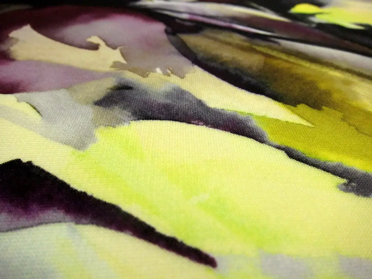 Printed Silk Gazar1