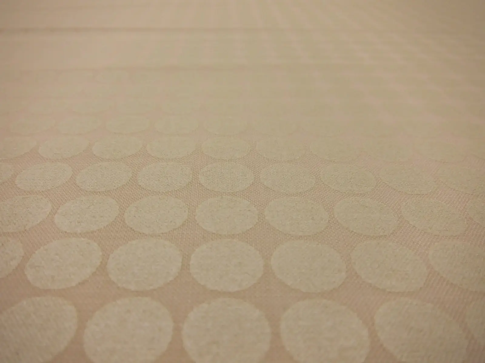 Cotton Broadcloth Print2