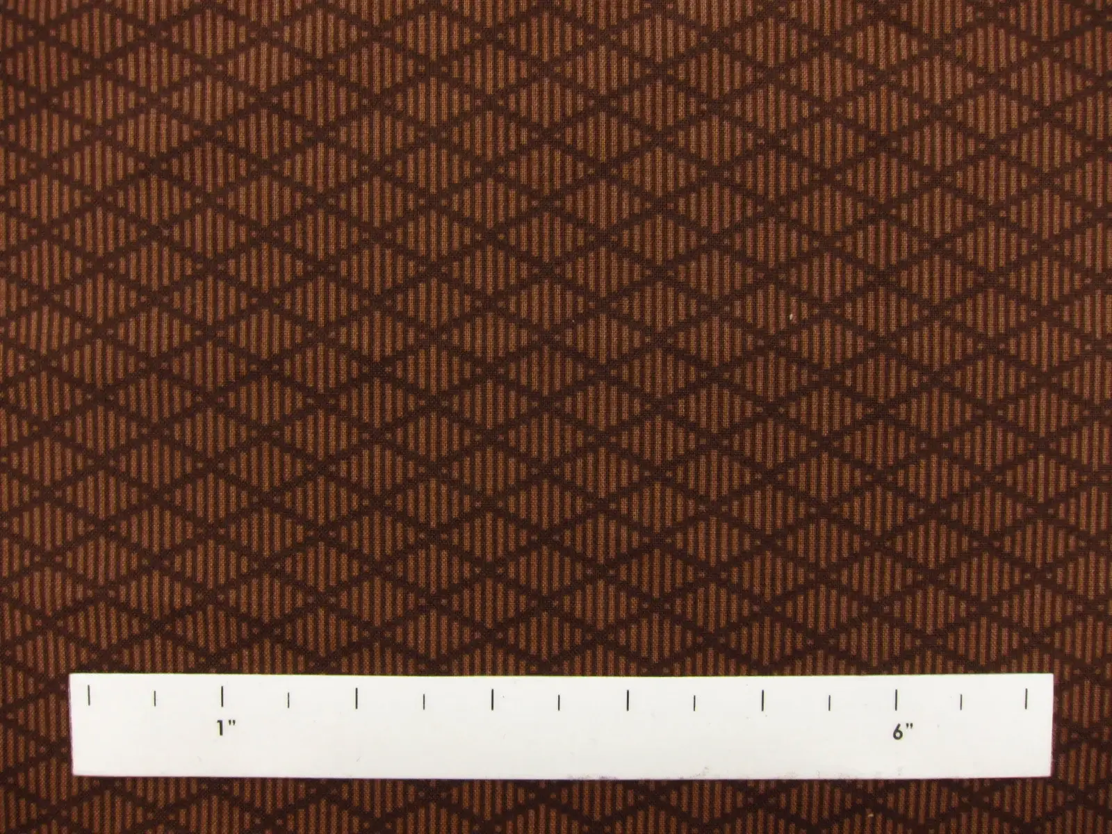 Cotton Broadcloth Print1