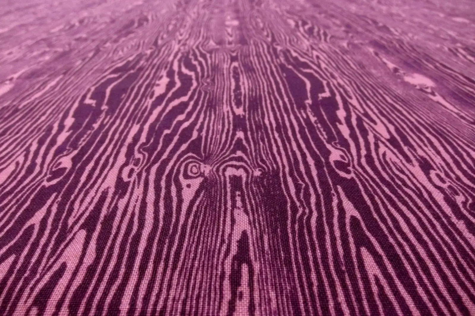 Cotton Broadcloth Print2