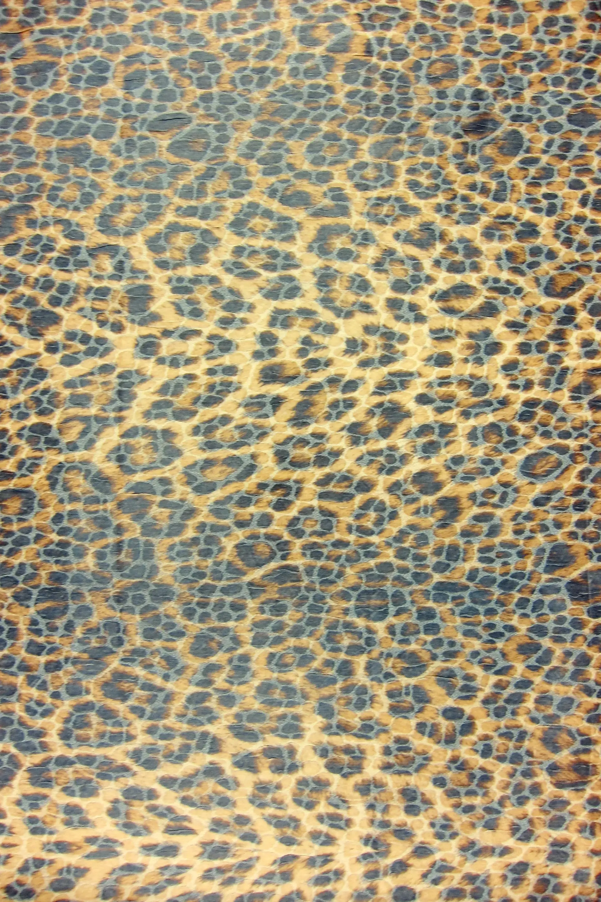 Cire Brocade0