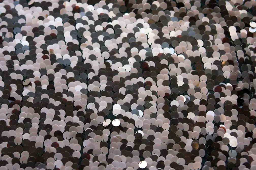 Paillettes on Silk Chiffon0