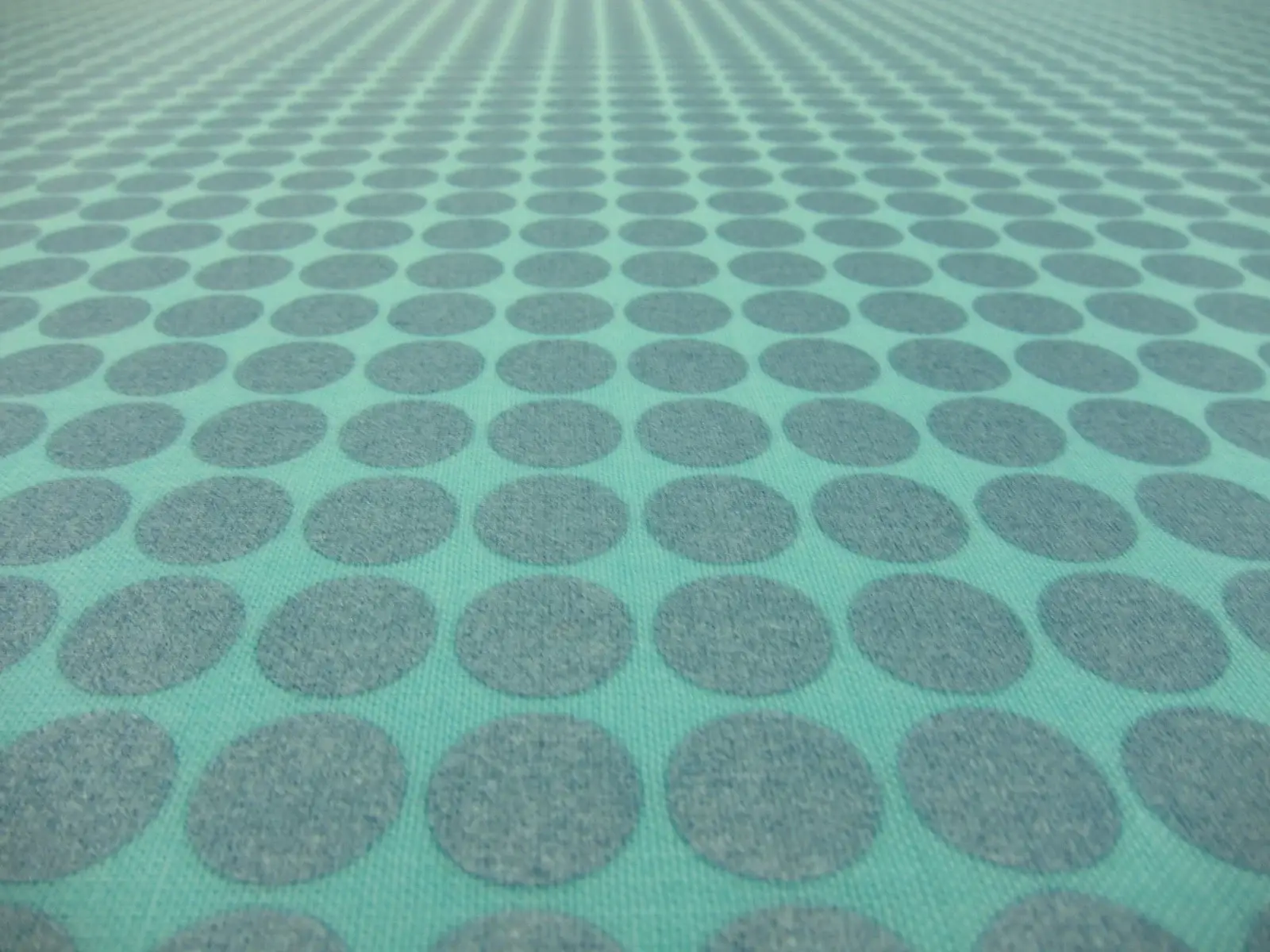 Cotton Broadcloth Print2