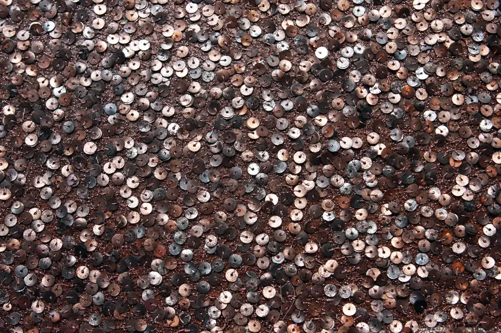 Sequins on Metallic Tulle0