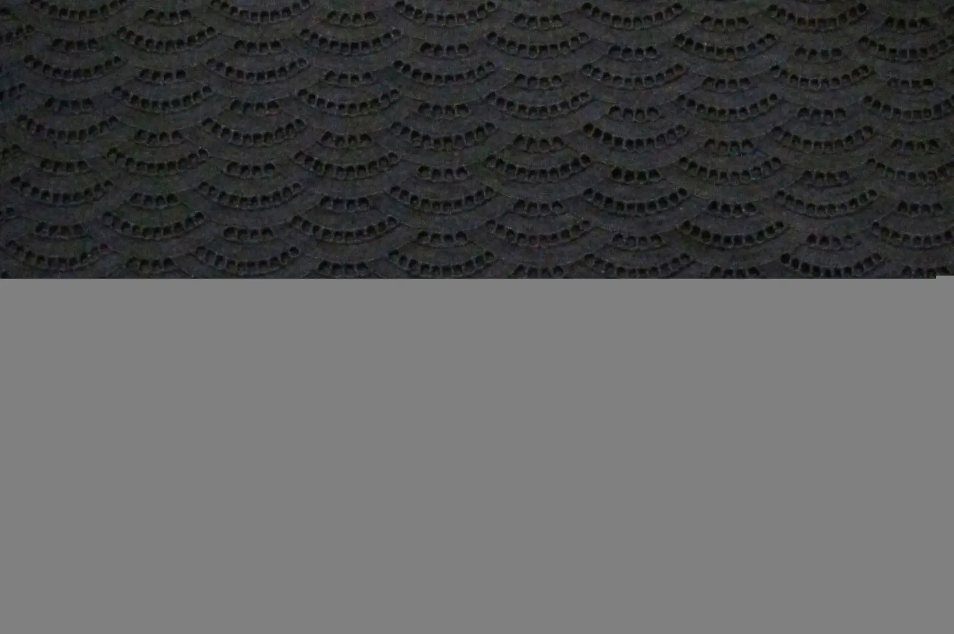 Cotton Eyelet in Black0