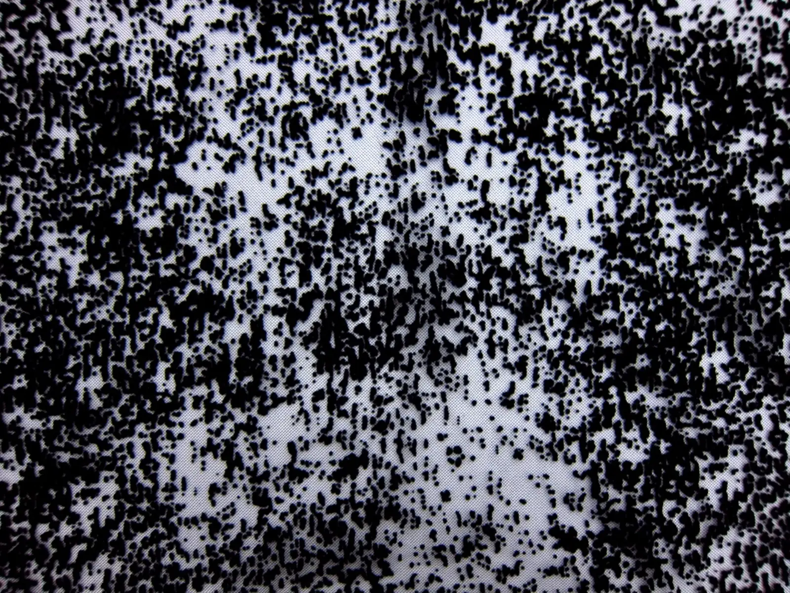 Flocked Tulle (in Black)0