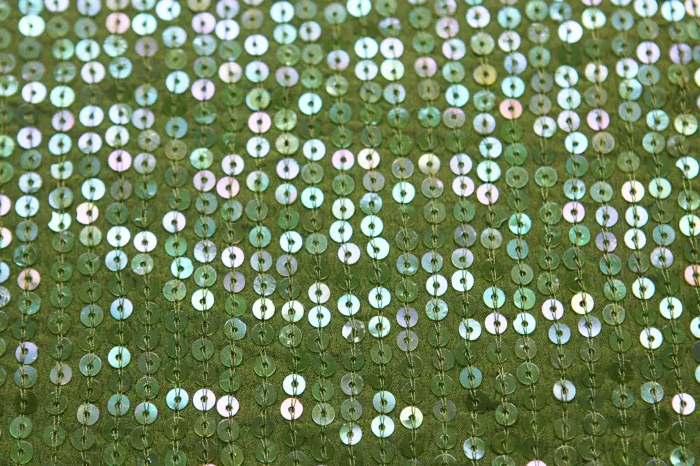 Sequins on Silk Chiffon2