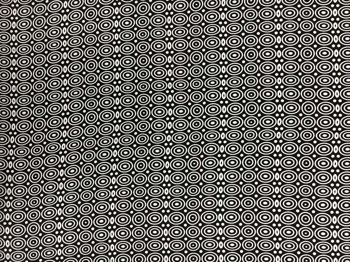 Printed Silk Charmeuse0