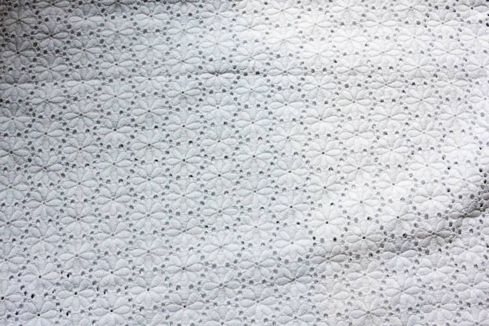 Cotton Eyelet2