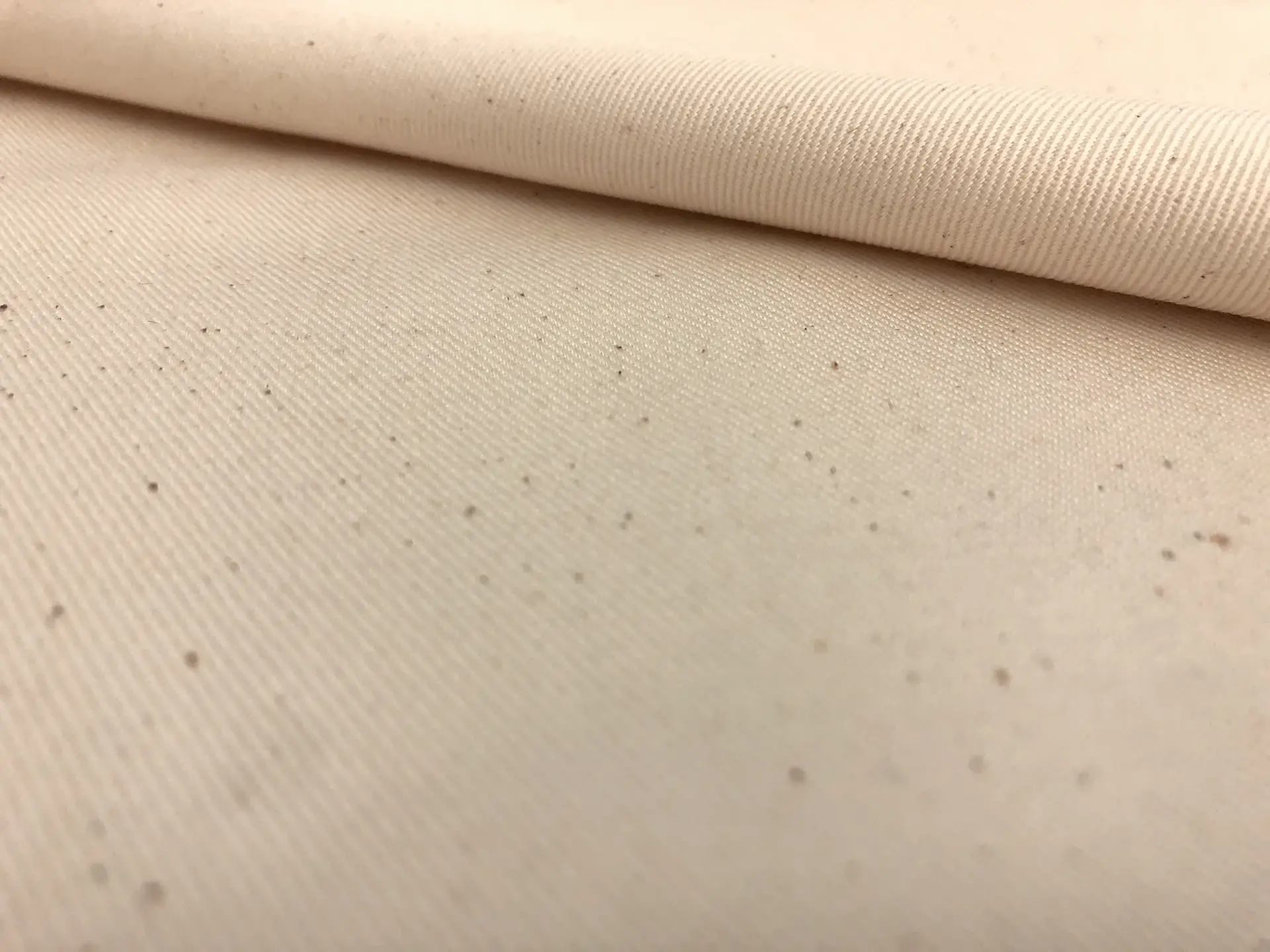 Cotton Chino Twill in Natural 0