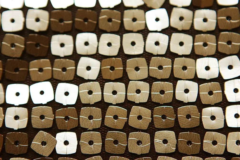 Sequins on Stretch Illusion2
