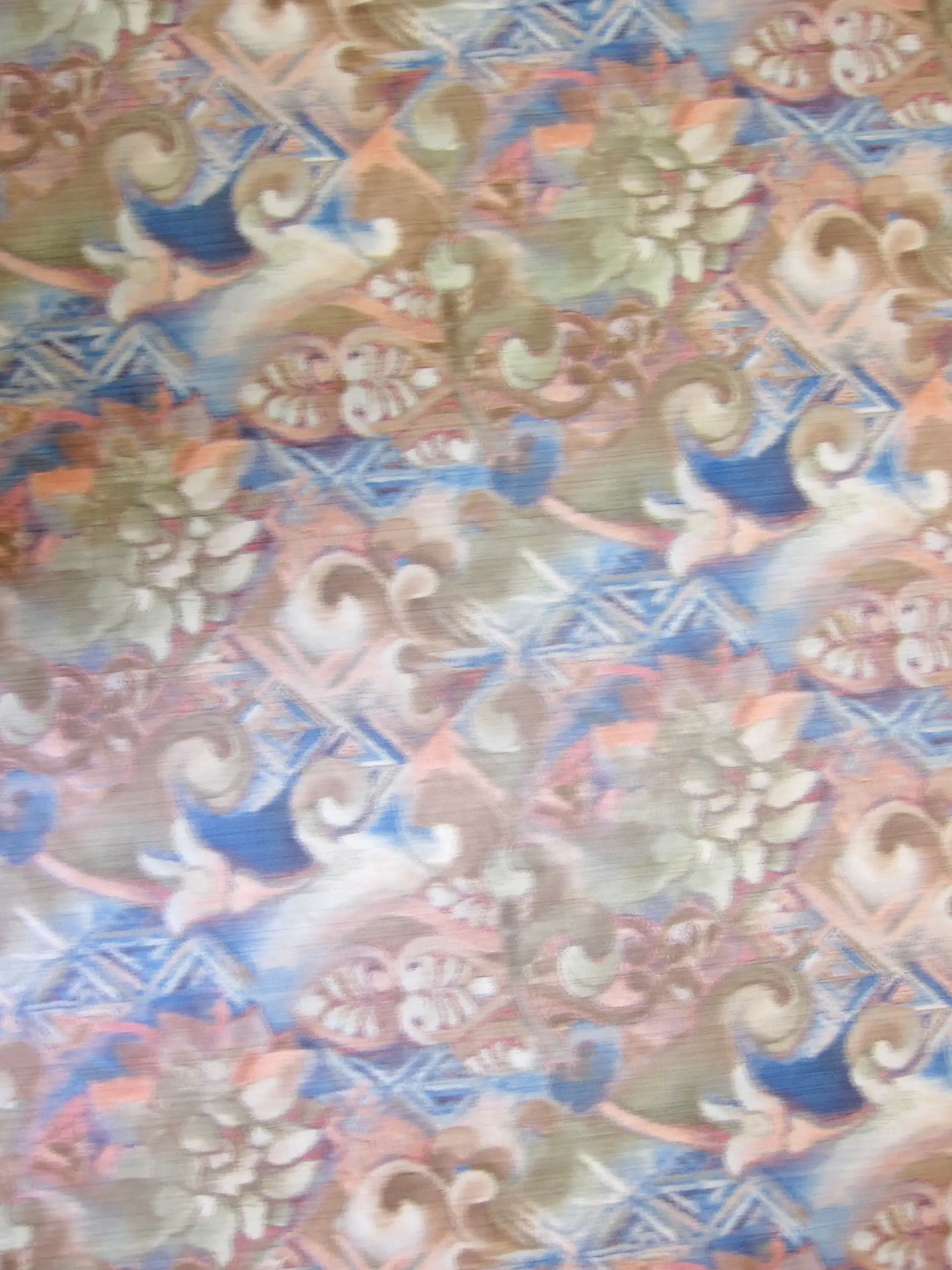 Warp Printed Taffeta0
