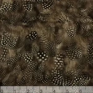 Feathers on Chiffon0