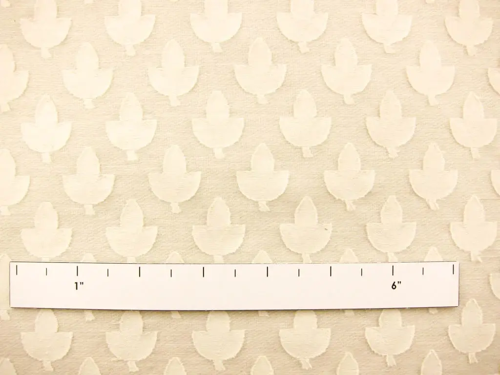 Cotton Fil Coupe1