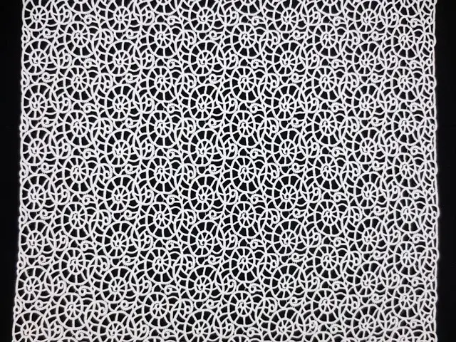 Guipure Lace3