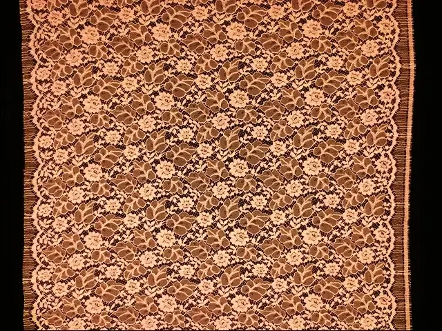 Corded Chantilly Lace3