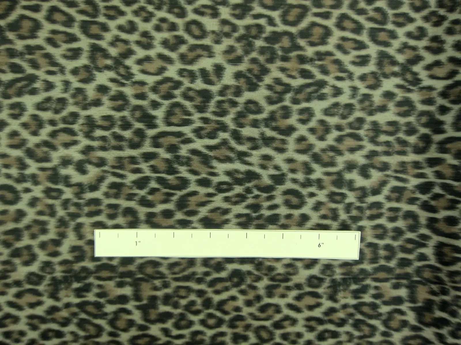 Warp Printed Taffeta0