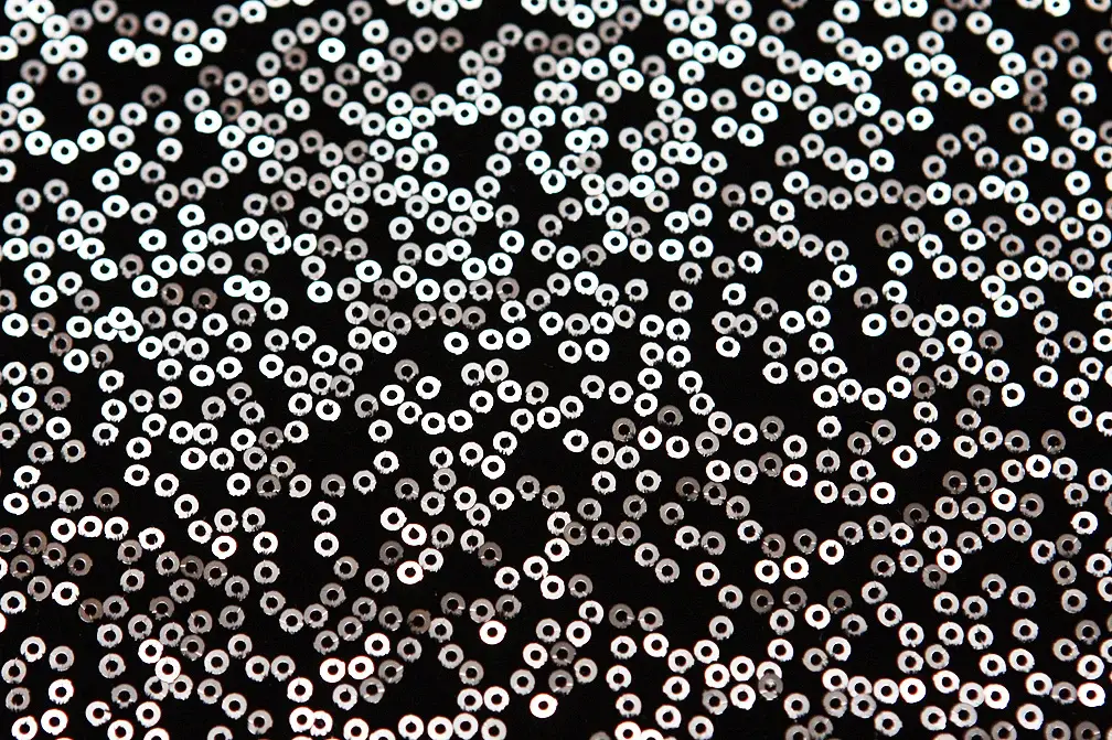 Sequins on Stretch Velvet2