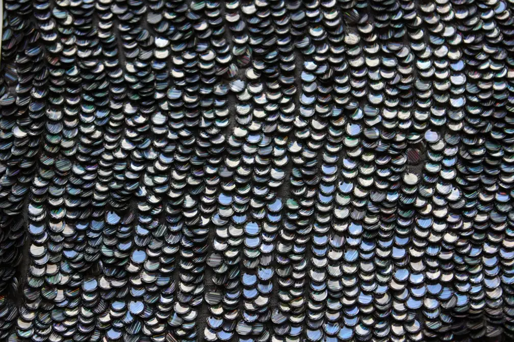 Paillettes on Silk Chiffon1