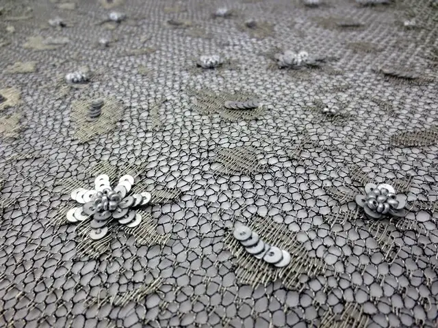 Beaded Metallic Chantilly Lace2