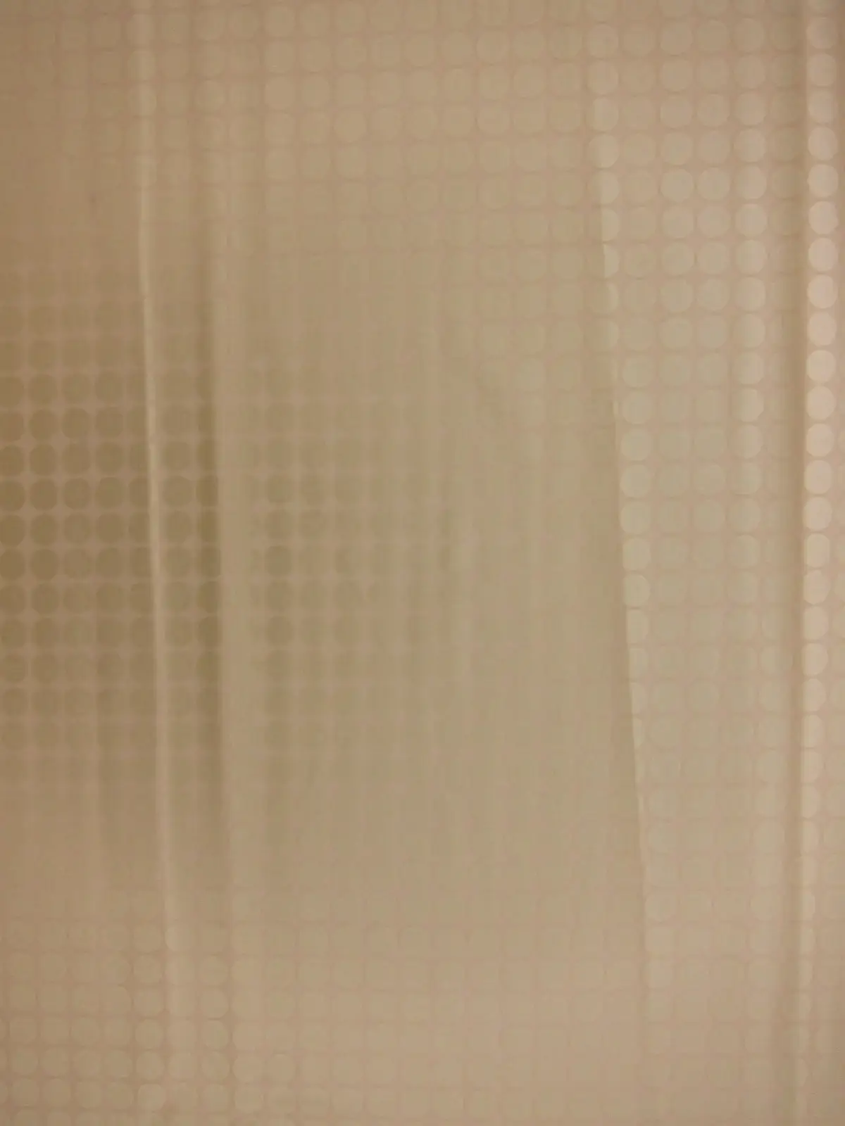 Cotton Broadcloth Print0