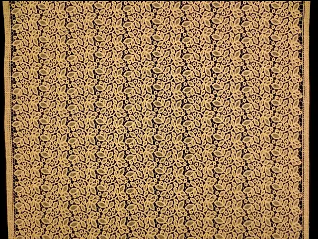 Guipure Lace3