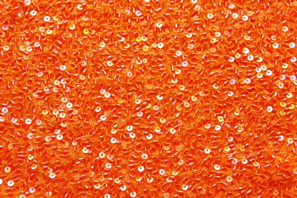 Sequins on Silk Chiffon0
