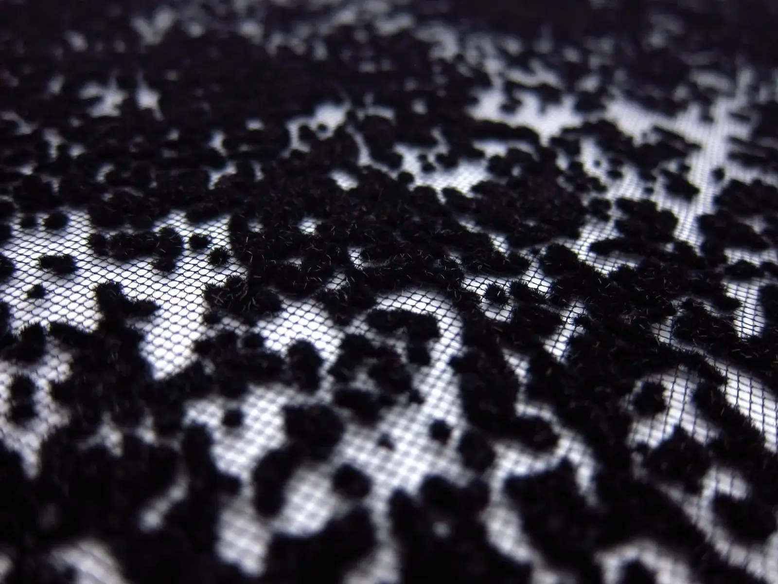 Flocked Tulle (in Black)2