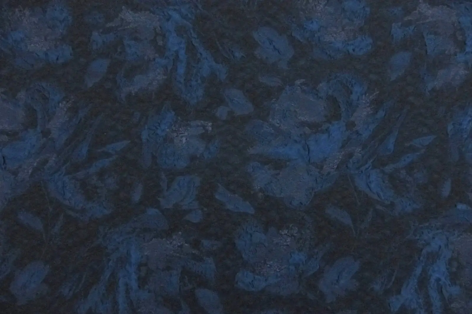 Metallic Cloqué0